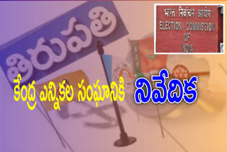 nellore collector report to ec on tpty by poll