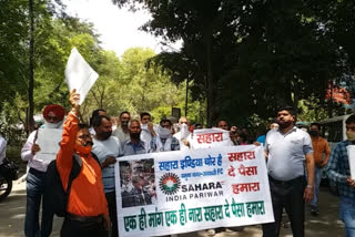 depositors In Sahara group demonstrated at the District Secretariat