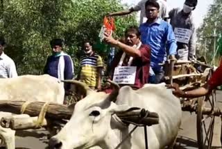 campaign of pandaveswar tmc candidate Narendranath Chakraborty