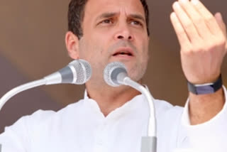 rahul gandhi covid positive