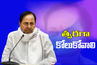 telangana cm kcr