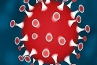 مظفرنگر:کورونا وائرس کے 469 نئے متاثرین کی تصدیق