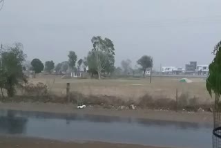 Sikar weather news, rain in Sikar