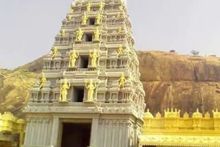 grandly celebrated of lord srirama marriage in ramatheertham temple