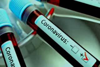 511 people detected as covid positive in kamrup