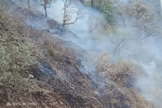 Fire near Mussoorie Woodstock School