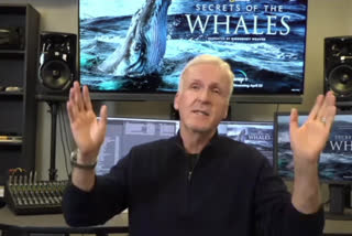 James Cameron on Avatar sequels and Secrets of the Whales docuseries