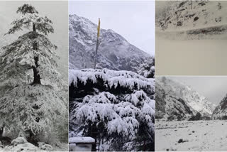 snowfall in Uttarkashi