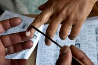 panchayat election
