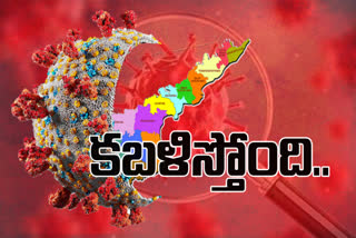 ap corona cases, covid cases in andhra pradesh