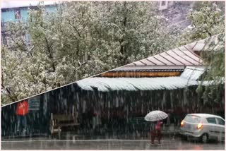 heavy snowfall in kinnaur