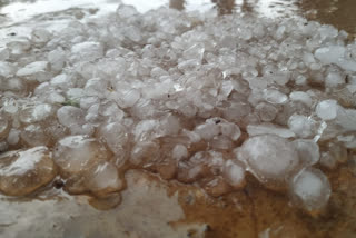 Heavy rain in many districts of Chhattisgarh