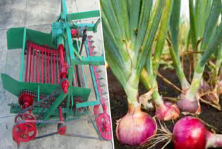 Onion machine