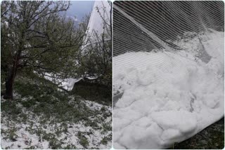 hailstorm-fall-in-shimla