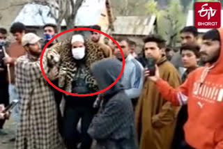 Ailing leopard found in J-K's Ganderbal