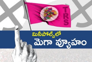 trs strategy in mini municipal elections