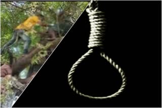 couple committed suicide