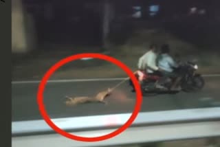 Mangalore dog dragged on road