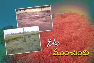 farmers facing problems with rain in Telangana