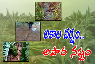 crop loss due to unseasonal rains