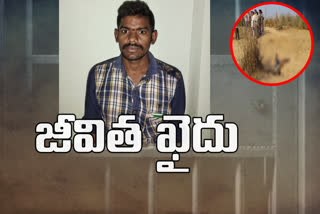 ap crime news today, ap serial killer murder news