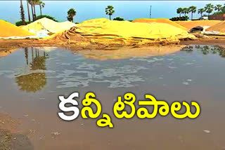 sudden rain in nalgonda, paddy grain drenched in nalgonda