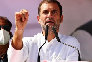 Rahul Gandhi slams Centre for oxygen shortage, lack of ICU beds amid COVID-19 deaths  Rahul Gandhi  COVID  കേന്ദ്ര സർക്കാരിന്‍റെ 'ജനവിരുദ്ധ നയങ്ങൾ' രാജ്യത്തെ ബാധിച്ചു: രാഹുൽ ഗാന്ധി  കേന്ദ്ര സർക്കാരിന്‍റെ 'ജനവിരുദ്ധ നയങ്ങൾ' രാജ്യത്തെ ബാധിച്ചു: രാഹുൽ ഗാന്ധി  രാഹുൽ ഗാന്ധി  കൊവിഡ്