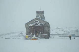 kedarnath snowfall