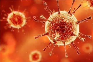 triple mutant strain of Covid-19  second wave of Covid-19  Maharastra covid cases  covid symptom  കൊവിഡിന്‍റെ മൂന്നാം വകഭേദം  കൊവിഡ് -19  ഡോ. ​​സഞ്ജയ് ലോണ്ടെ