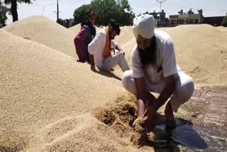 ਦਾਣਾ ਮੰਡੀ ਭਗਤਾਂ ਵਾਲਾ 'ਚ ਲੋਕ ਸਰਕਾਰੀ ਹੁਕਮਾਂ ਨੂੰ ਜਾਣਦੇ ਟਿੱਚ