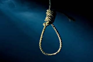 Woman commits suicide  unknown reasons  Chaksu news  jaipur news  crime in jaipur  जयपुर न्यूज  चाकसू न्यूज  खुदकुशी  महिला ने की खुदकुशी