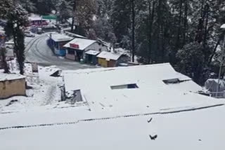 tourists-not-reaching-chopta-even-after-snowfall