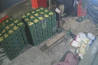 police constable stealing fruit box