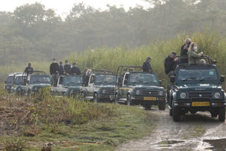 ক'ভিডৰ বাবে কাজিৰঙা ৰাষ্ট্ৰীয় উদ্যানৰ পৰ্যটক সংখ্যা হ্ৰাস