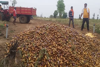 Farmers upset with lockdown