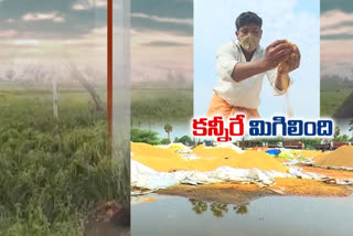 rain loss in telangana