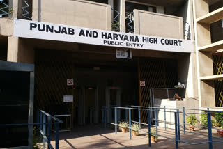 haryana punjab high court hearing corona