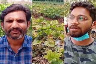 vegetable-farmers-are-upset-due-to-lockdown