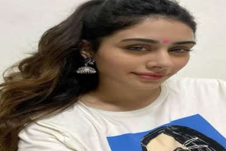 actress-warina-hussain-following-aamir-khan-footsteps-quits-social-media