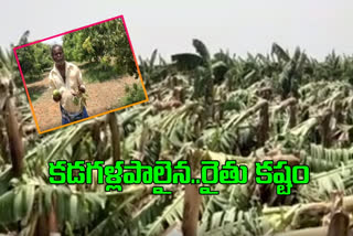 farmers lost crop due to rains