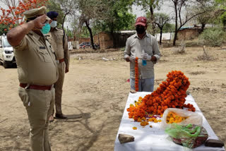 गार्ड ऑफ ऑनर