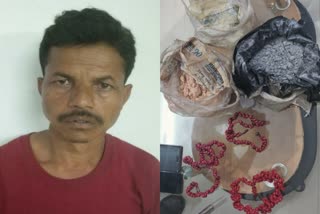 police-arrested-a-naxalite-in-bijapur