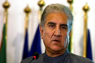 pak Foreign Minister Qureshi, pak