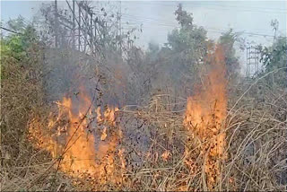 Forest fire near Digwadih Sub Station in dhanbad