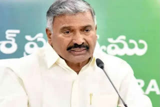 minister peddireddy about task force committe on private hospital bills