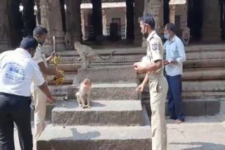 ಕೋತಿಗಳಿಗೆ ಆಹಾರ ನೀಡಿ ಮಾನವೀಯತೆ ಮೆರೆದ ಗೃಹರಕ್ಷಕ ದಳ ಸಿಬ್ಬಂದಿ