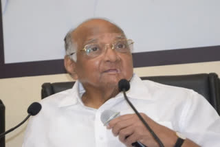 Sharad Pawar, ncp president