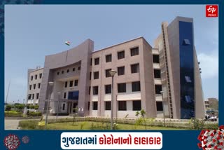 ડાંગ જિલ્લામાં કોરોનાના 10 નવા કેસ નોંધાયા