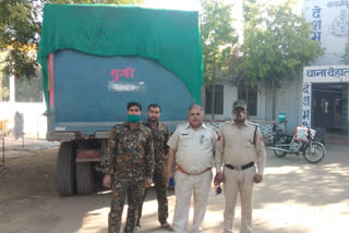 Sheopur: Gharial team caught sand dunner, 1 escaped in escape