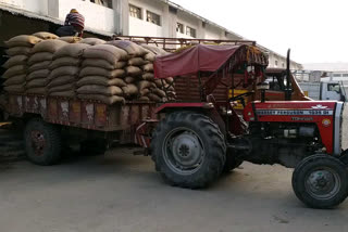 scam of Mid Day Meal rice